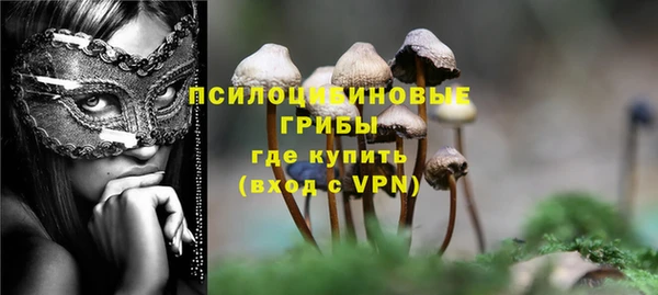 Альфа ПВП Армянск
