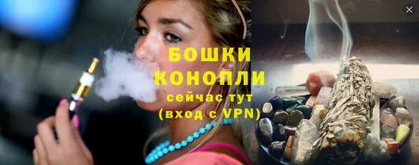 шишки Баксан