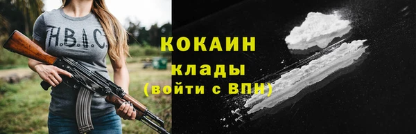 шишки Баксан