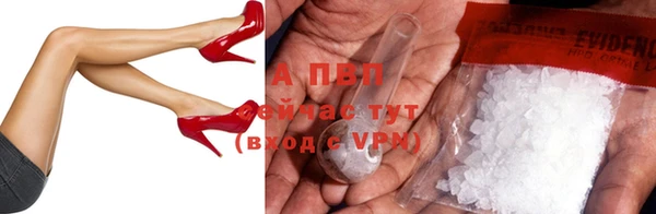 шишки Баксан
